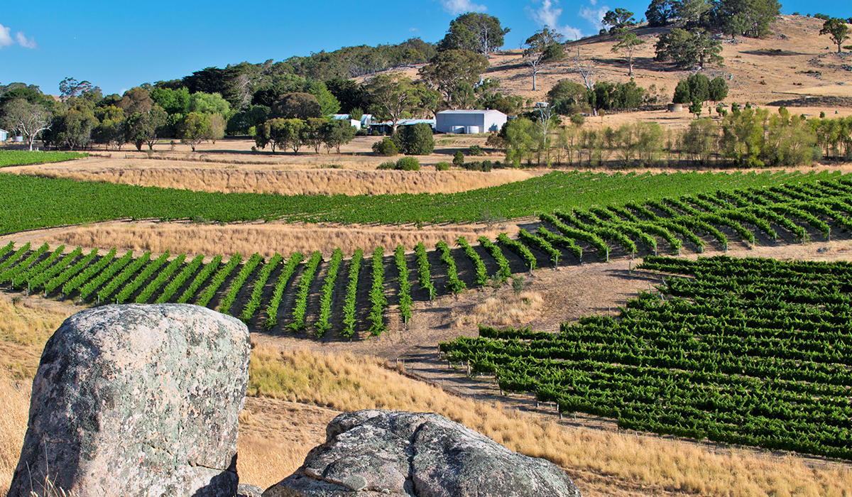 Granite Hills vineyard