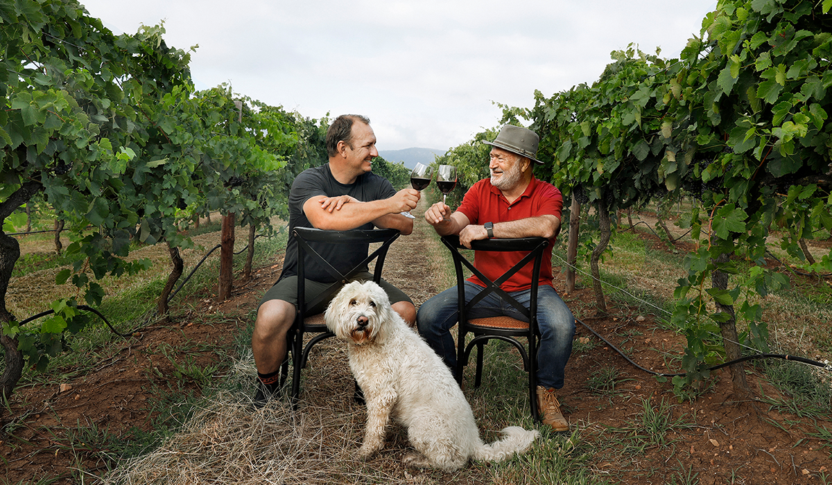 Two men in a vineyard