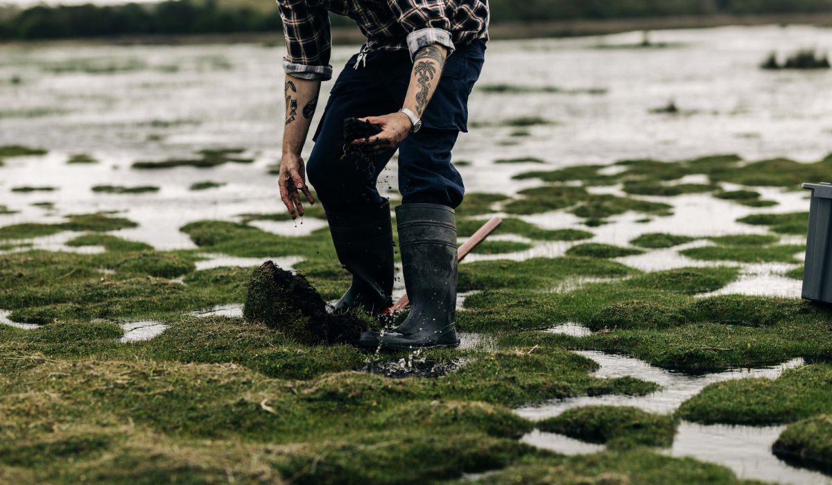 A man harvests peat for whisky
