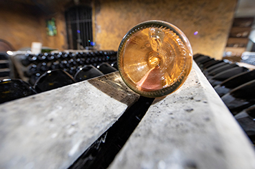White cava bottle in the cellar