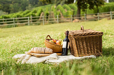 Picnic with wine