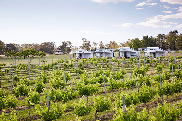 Cabin accommodation overlooking the vines at Ridgemill Winery