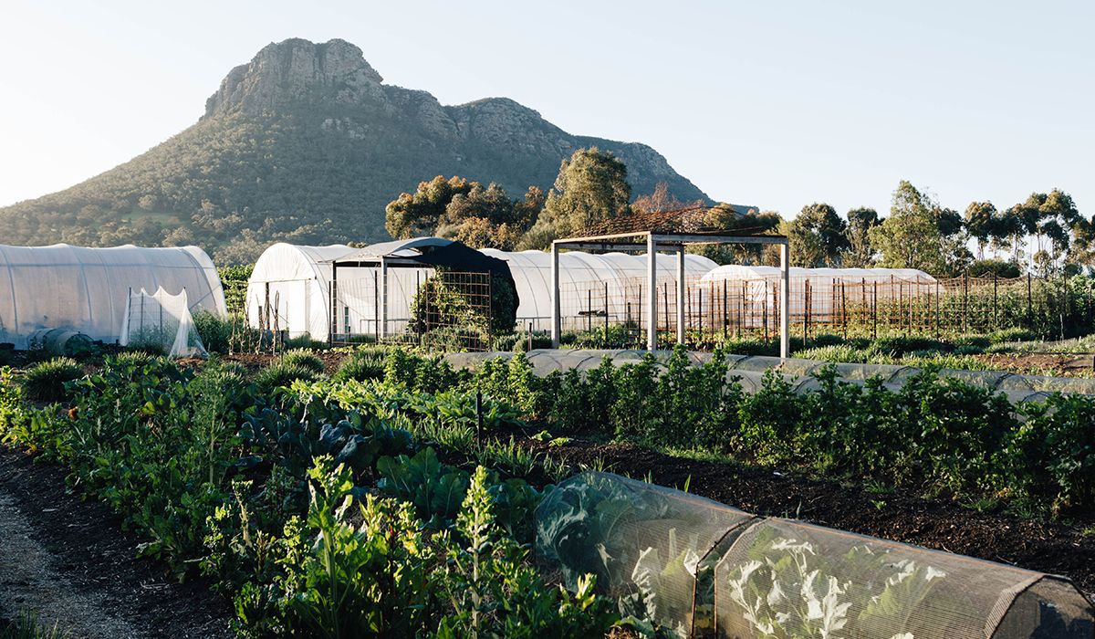 The kitchen garden at Wickens