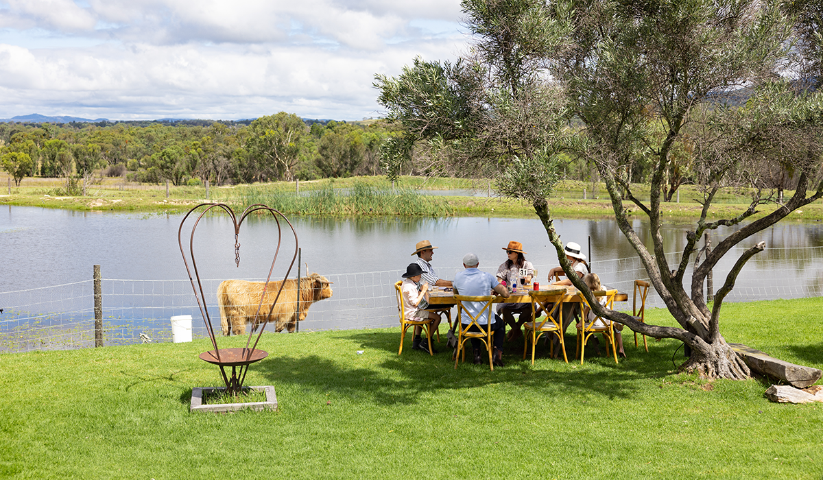 Balancing Heart cellar door