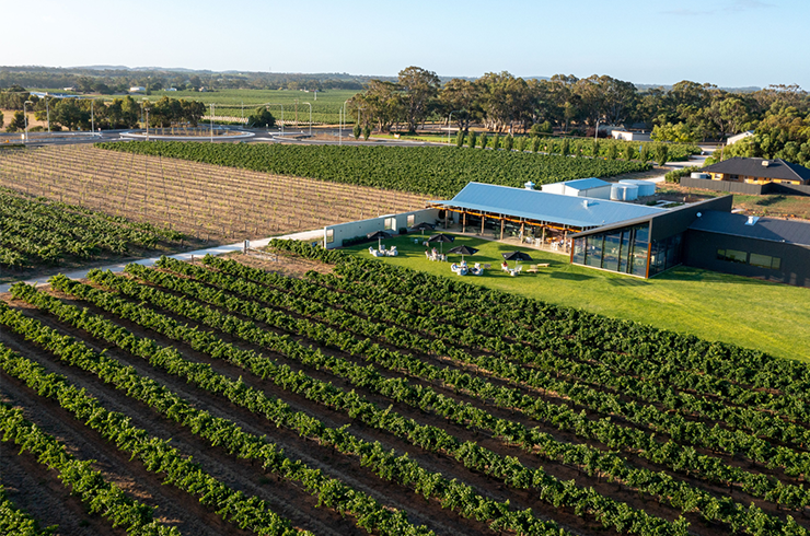 Artisans of Barossa vineyard