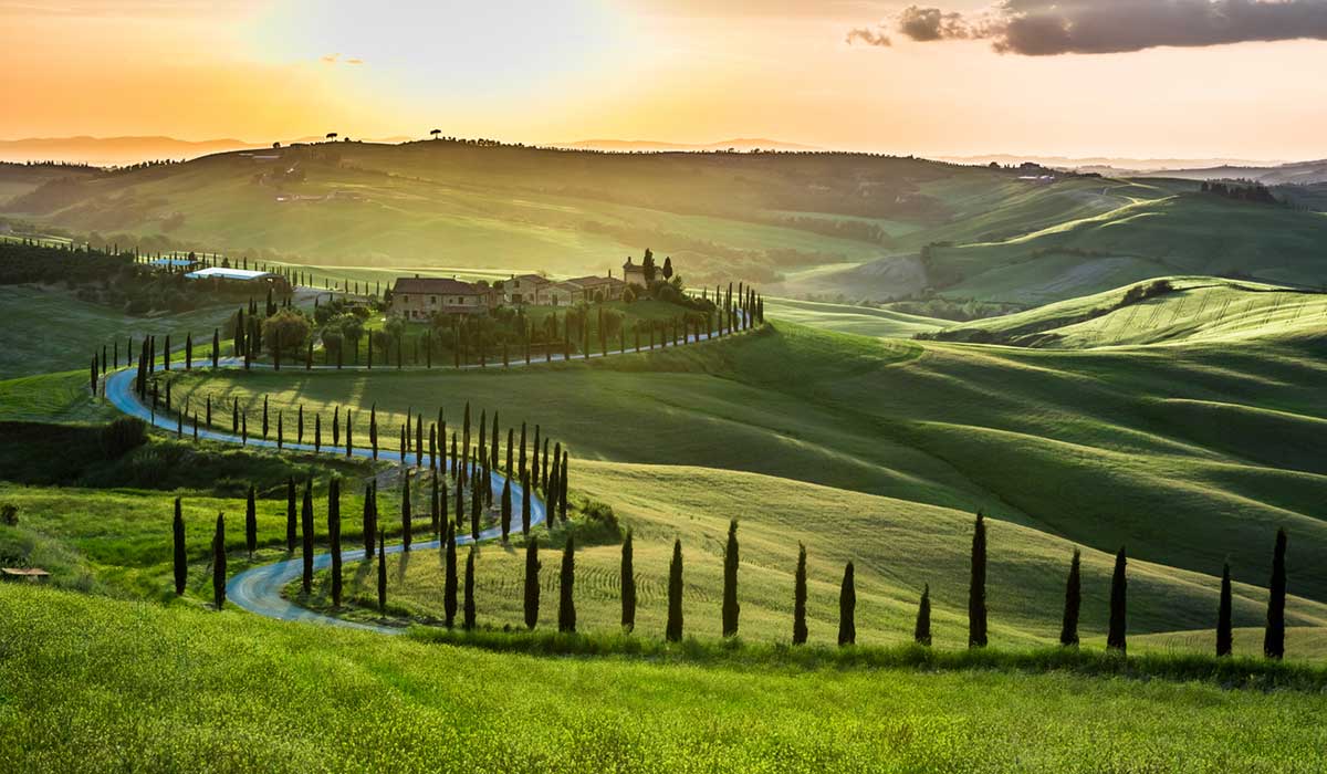 A cypress-lined drive in Tuscany, Italy