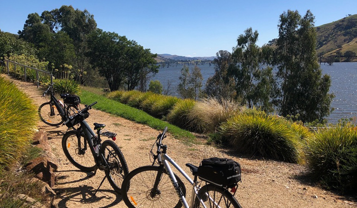 Bikes on a wine trail