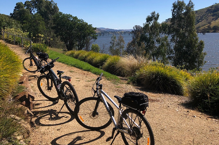 Bikes on a wine trail