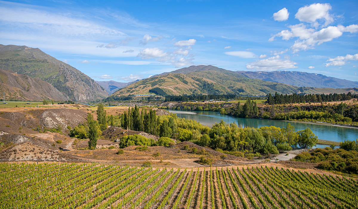 Te Kano in Central Otago