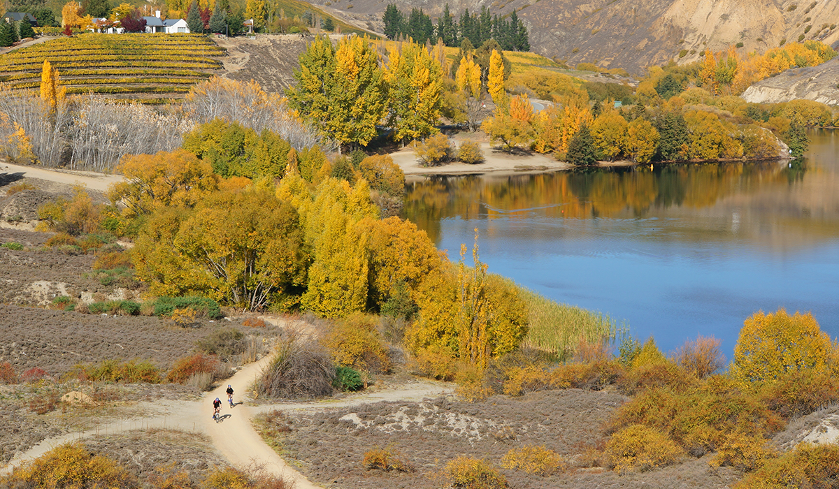 Lake Dunstan Cycle Trail