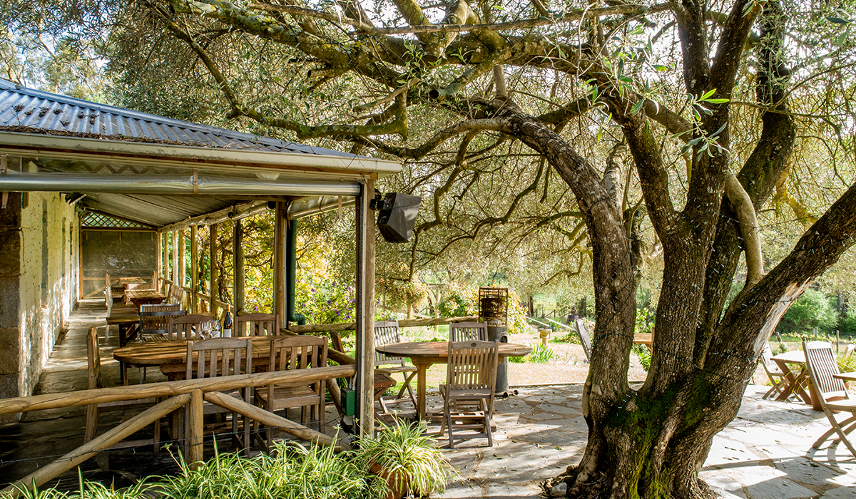 The outdoor area at Skillogalee 