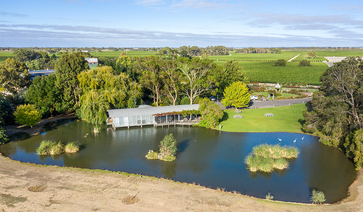 Balnaves of Coonawarra cellar door