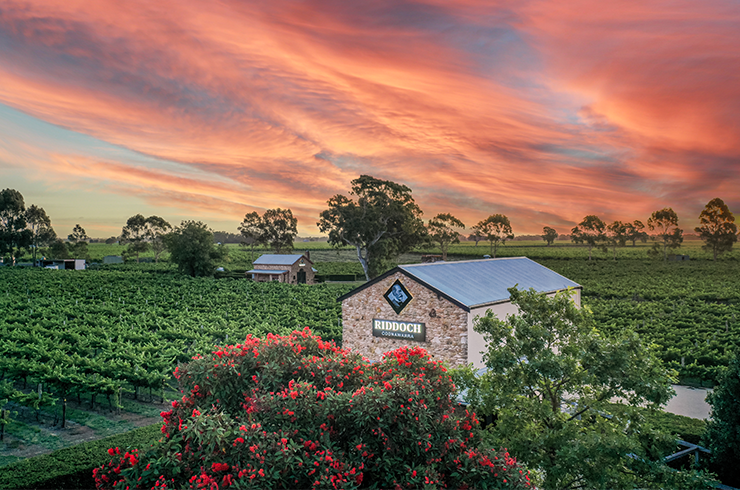Riddoch Coonawarra cellar door