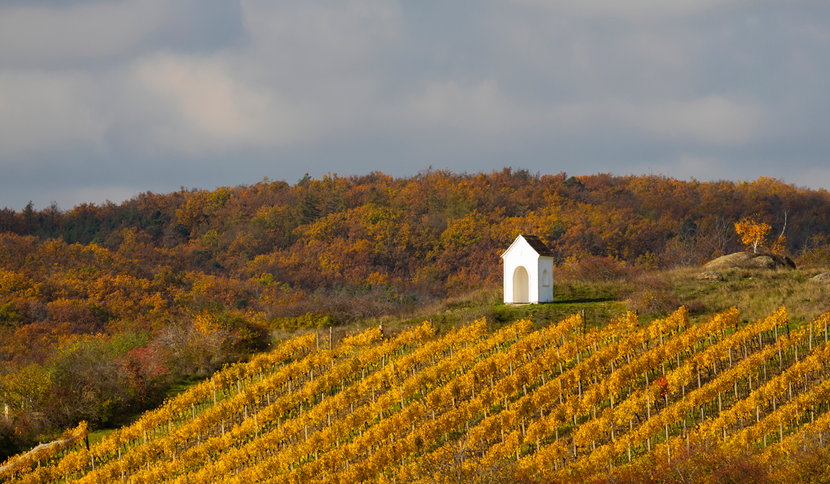 Hnanice, Znojmo region.