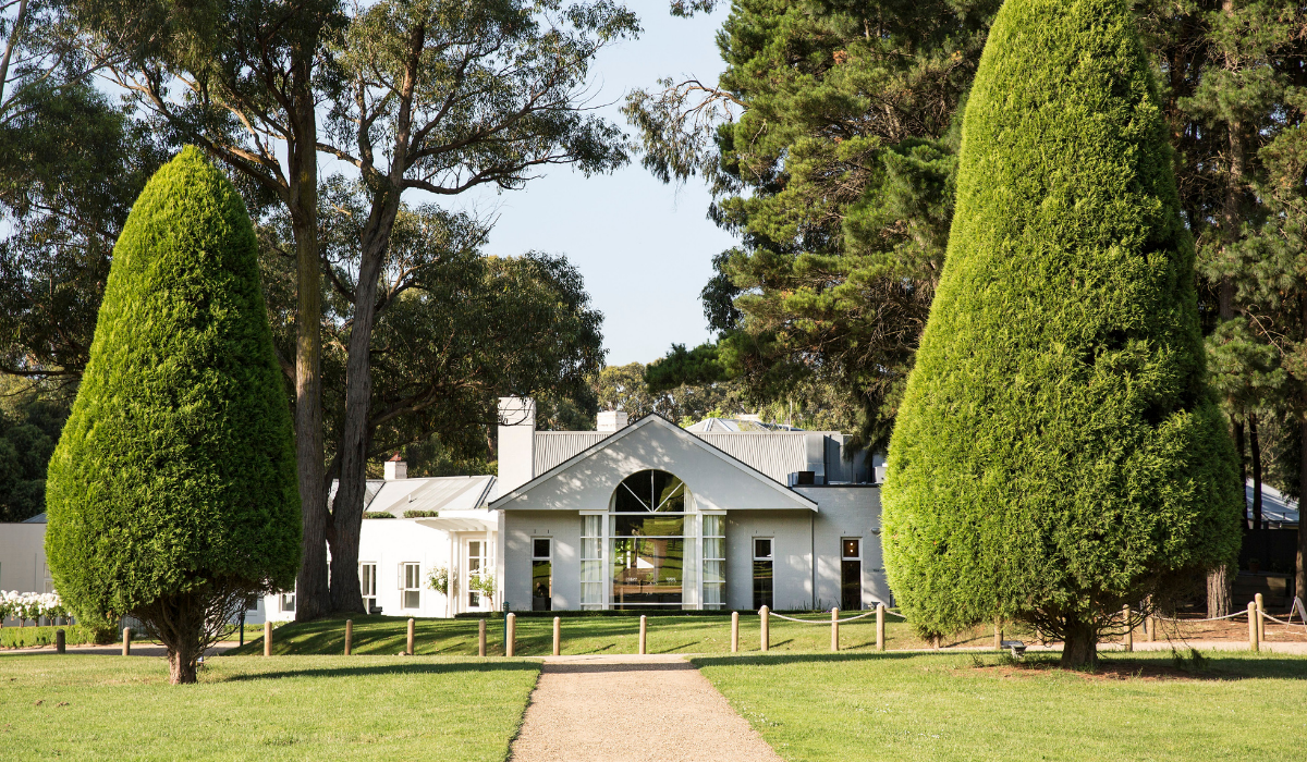 Lancemore Lindenberry Red Hill winery 