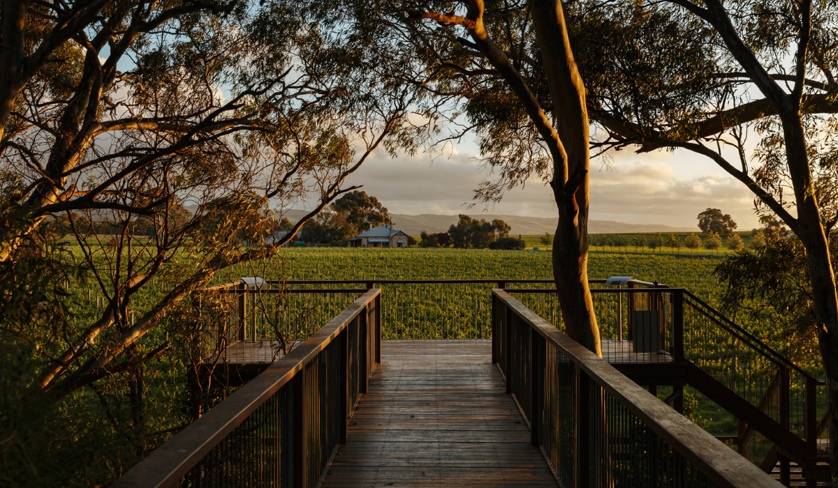 Wirra Wirra winery 