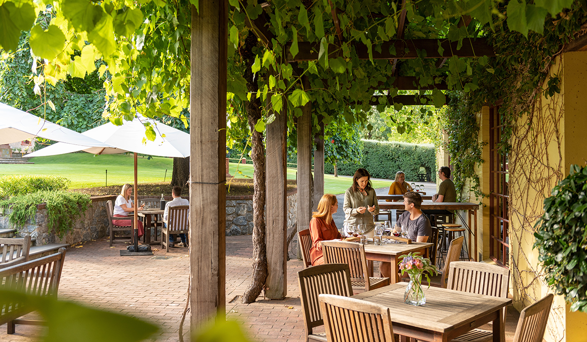 Yalumba cellar door