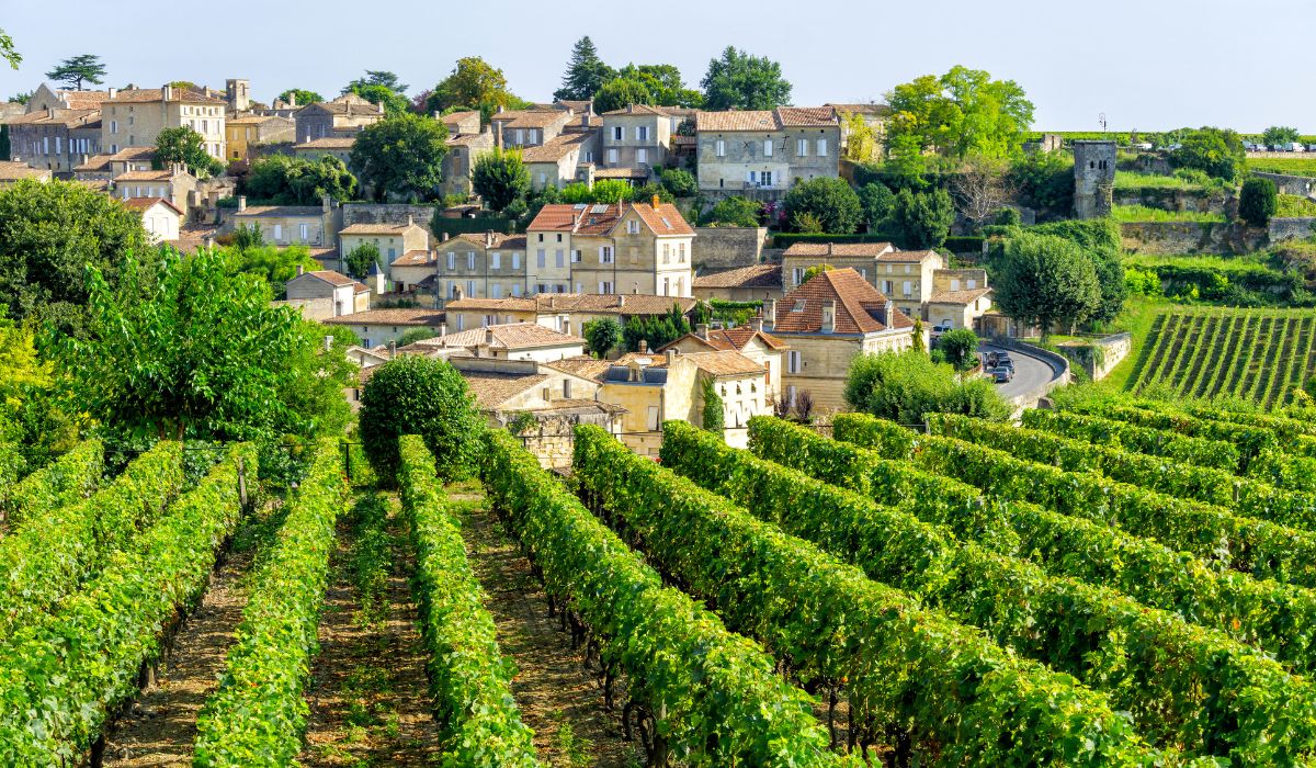 Grape vines lead down to a village in Bordeaux, France