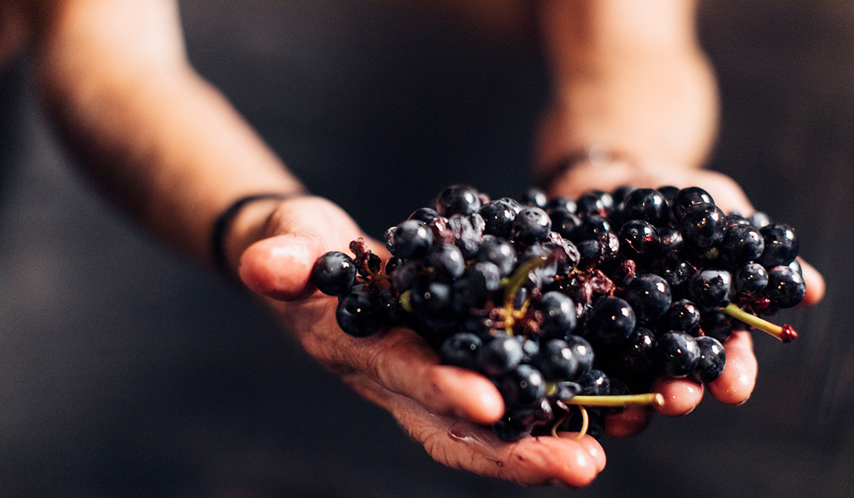 Grapes being held