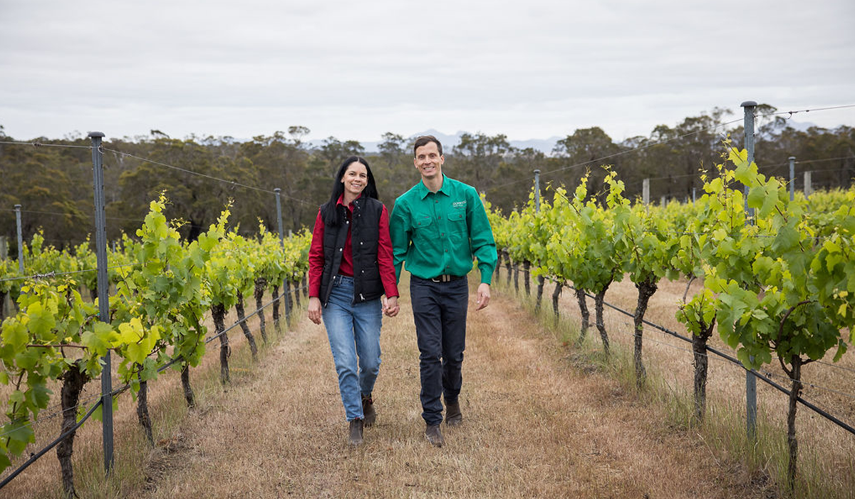 Ironwood's Sam and Jemima in the vineyard
