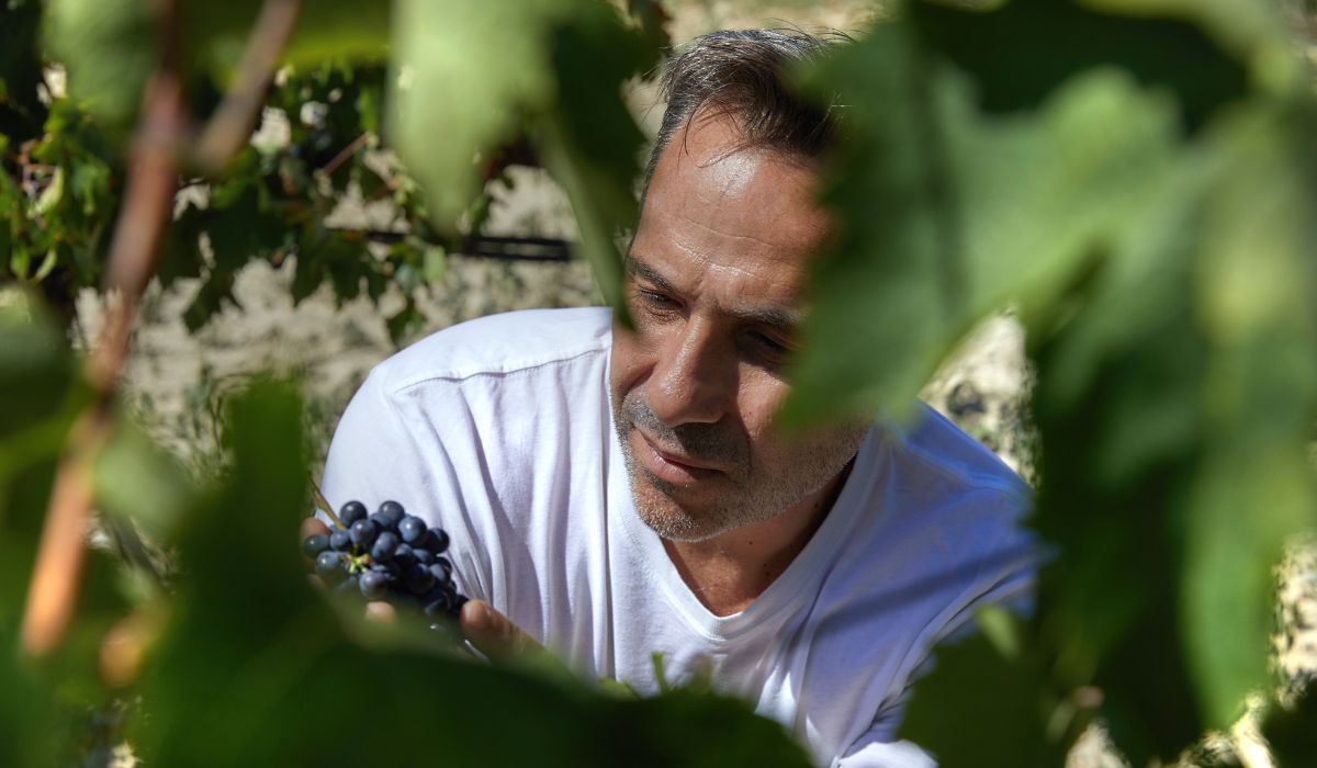 Greek winery