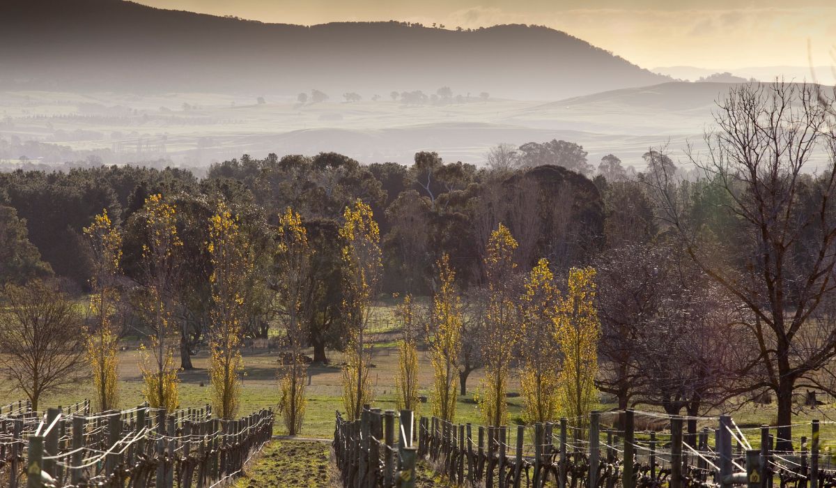 Roadtrip guide from Heathcote to Upper Goulburn