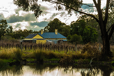 Munari cellar door and vineyard