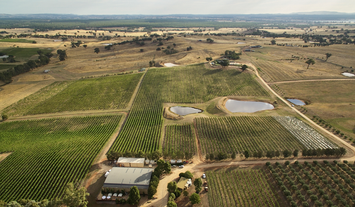 Drone view of the Sanguine Estate