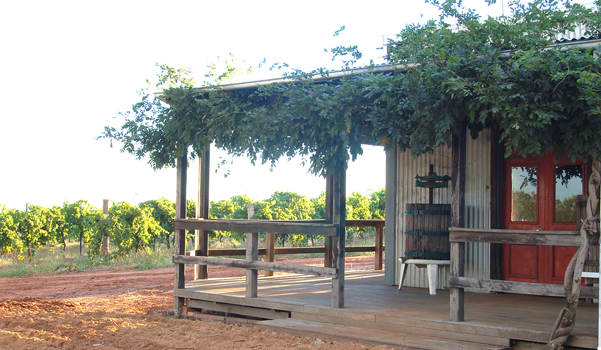 Freeman vineyards