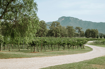 Broke Fordwich Wine Trail