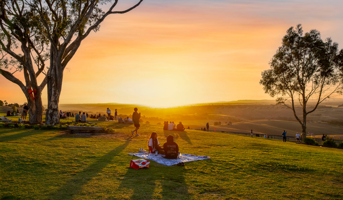 People having picnics at sunset at Marnong Estate 