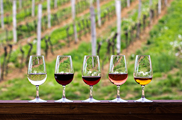 Red, pink, and white wine in glasses with vineyard in the background