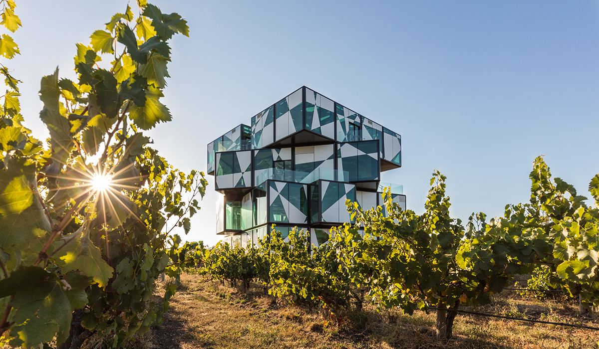 darenberg_cellardoor