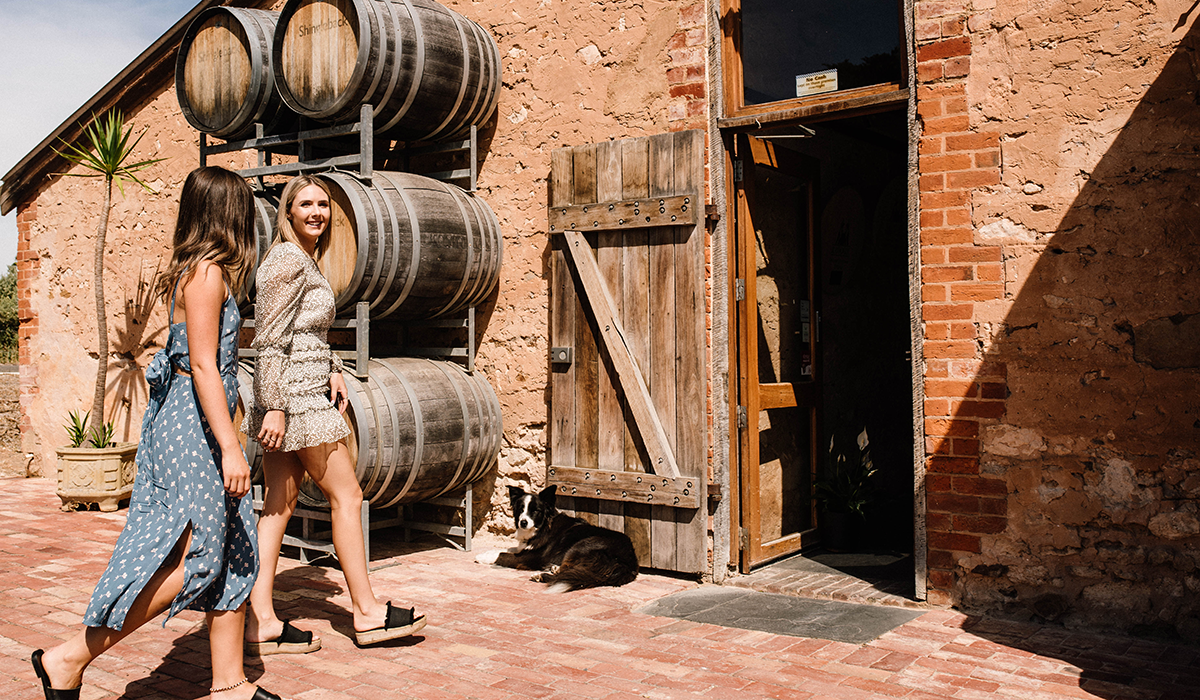 Shingleback_cellardoor
