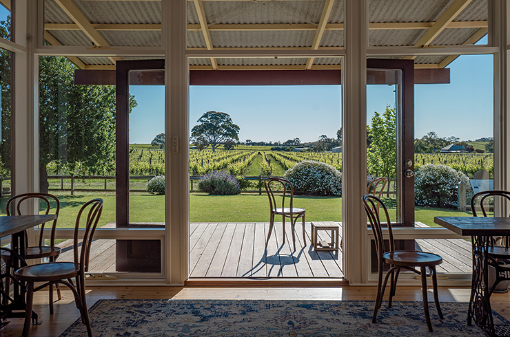 Samson Tall cellar door