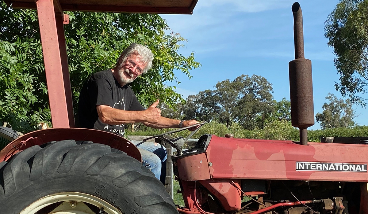 Man on tractor in vineyard