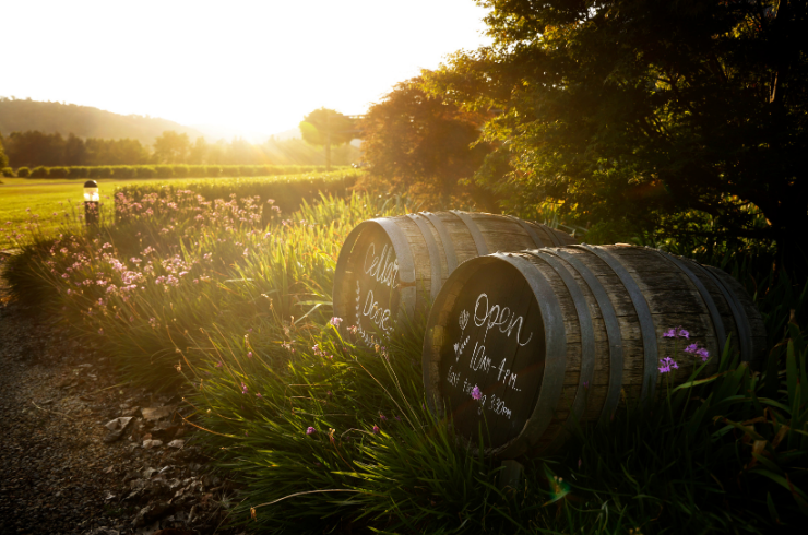 Bunnamagoo cellar door 
