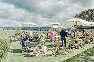 Vinifera cellar door