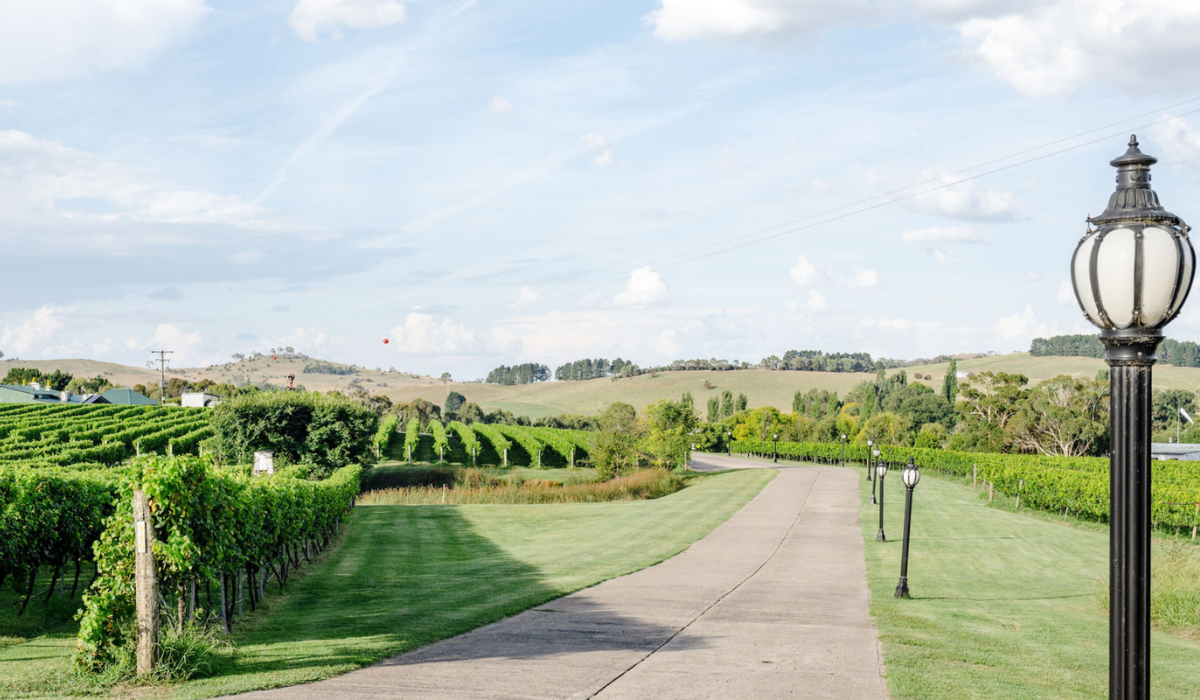 Highland Heritage vineyard 