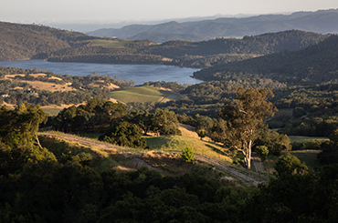 Napa Valley view