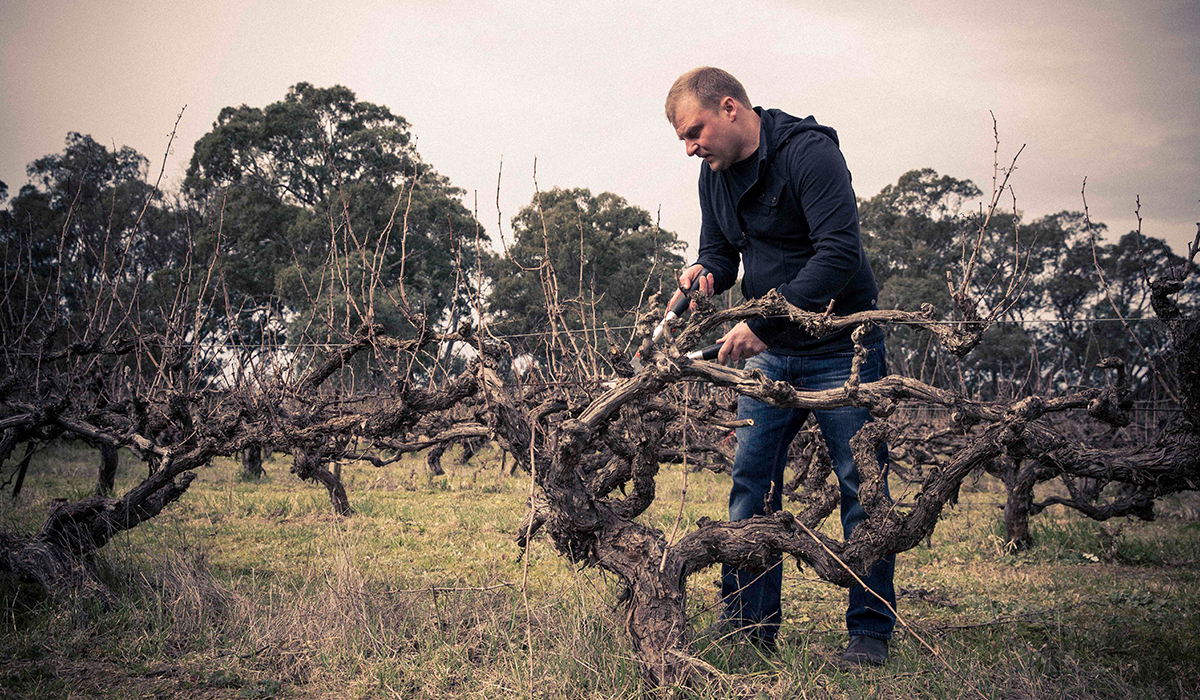 Dan Standish, The Standish Wine Company