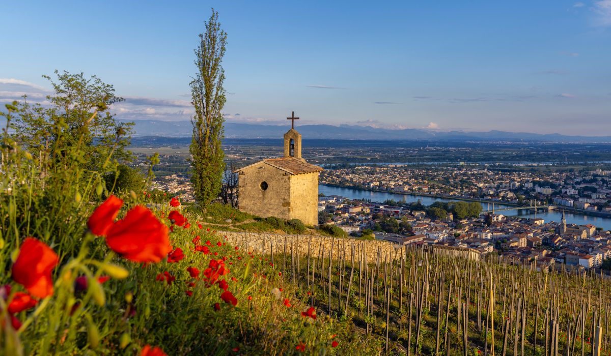 Hill of Hermitage, Rhone Valley