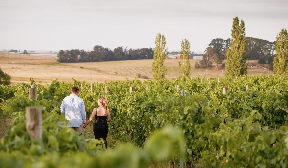 Winery guide - Orange, NSW