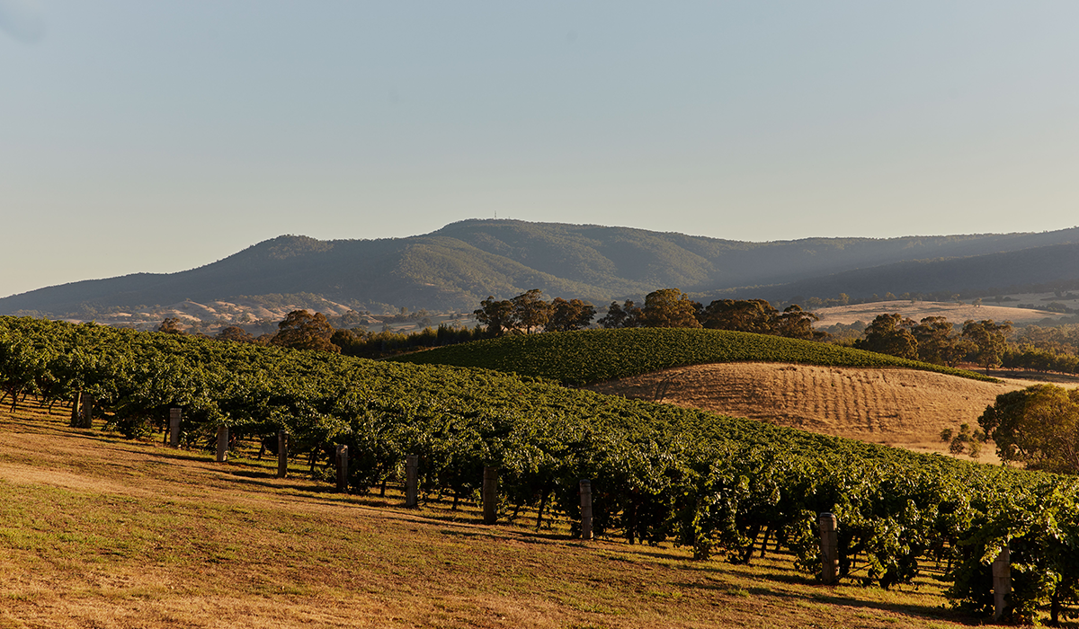 Mount Langi Ghiran