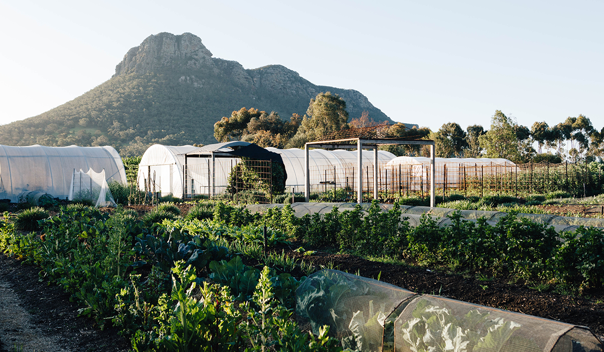 Royal Mail Kitchen Garden