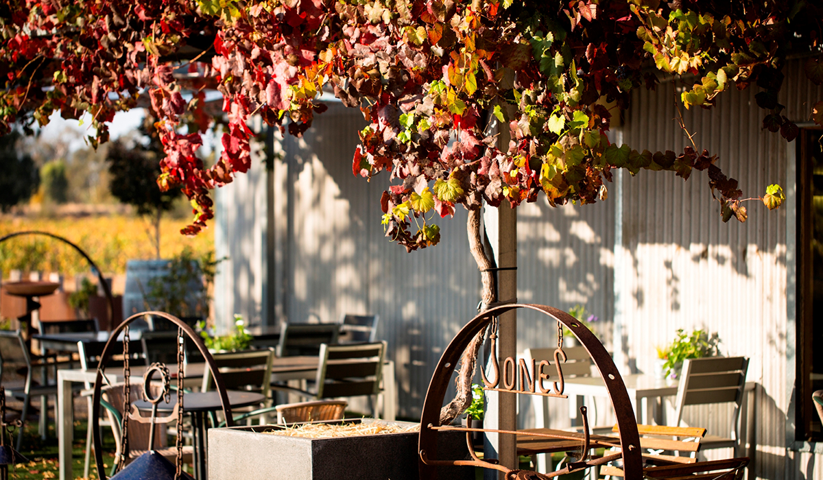 The outdoor terrace at Jones Vineyard