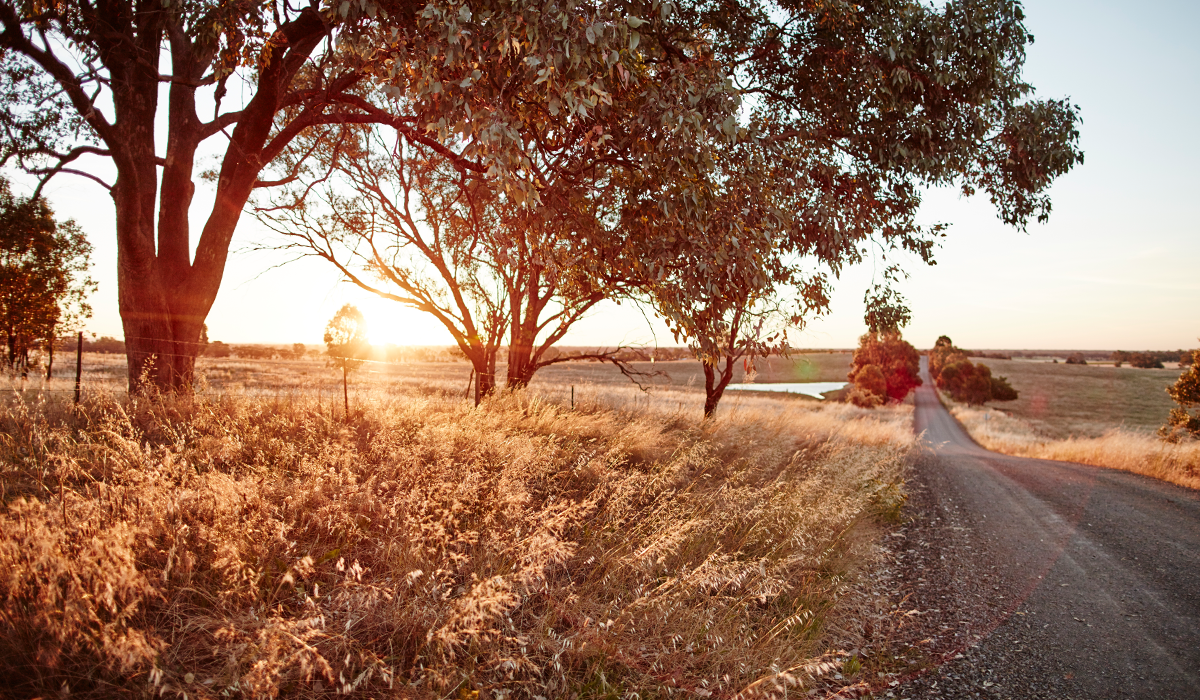 On the road to Rutherglen