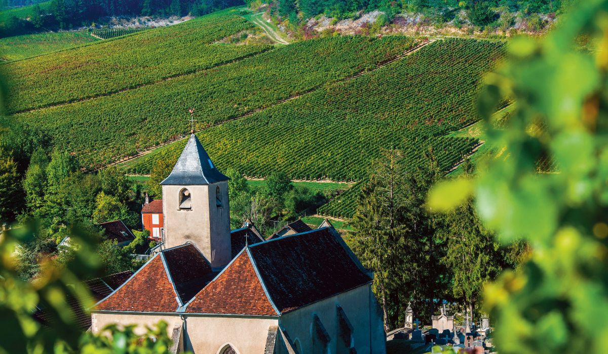 Scenic river cruises - europe