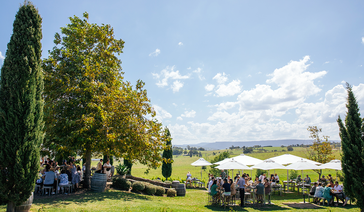 Cupitt's cellar door view outside