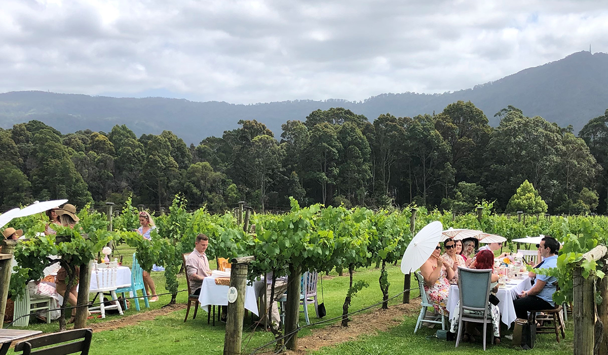 High Tea at Cambewarra Estate